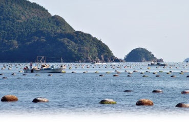漁師の潮煮 3種セット【末永海産】